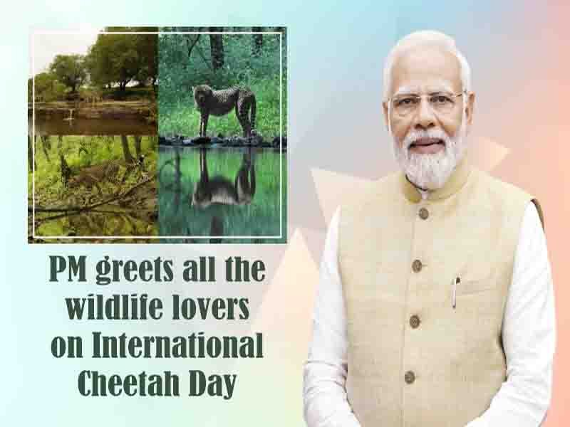 Prime Minister greets all the wildlife lovers on International Cheetah Day